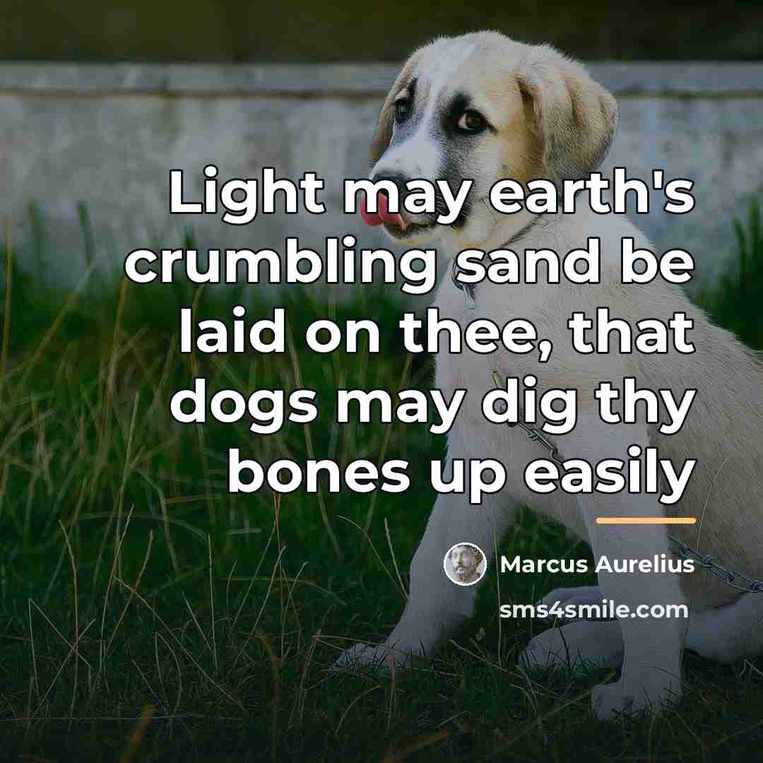 “Light may earth's crumbling sand be laid on thee, that…” quote by Marcus Aurelius