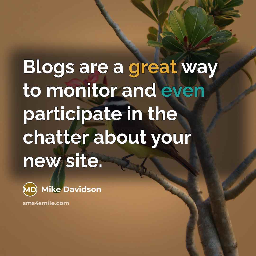 “Blogs are a great way to monitor and even participate…” quote by Mike Davidson