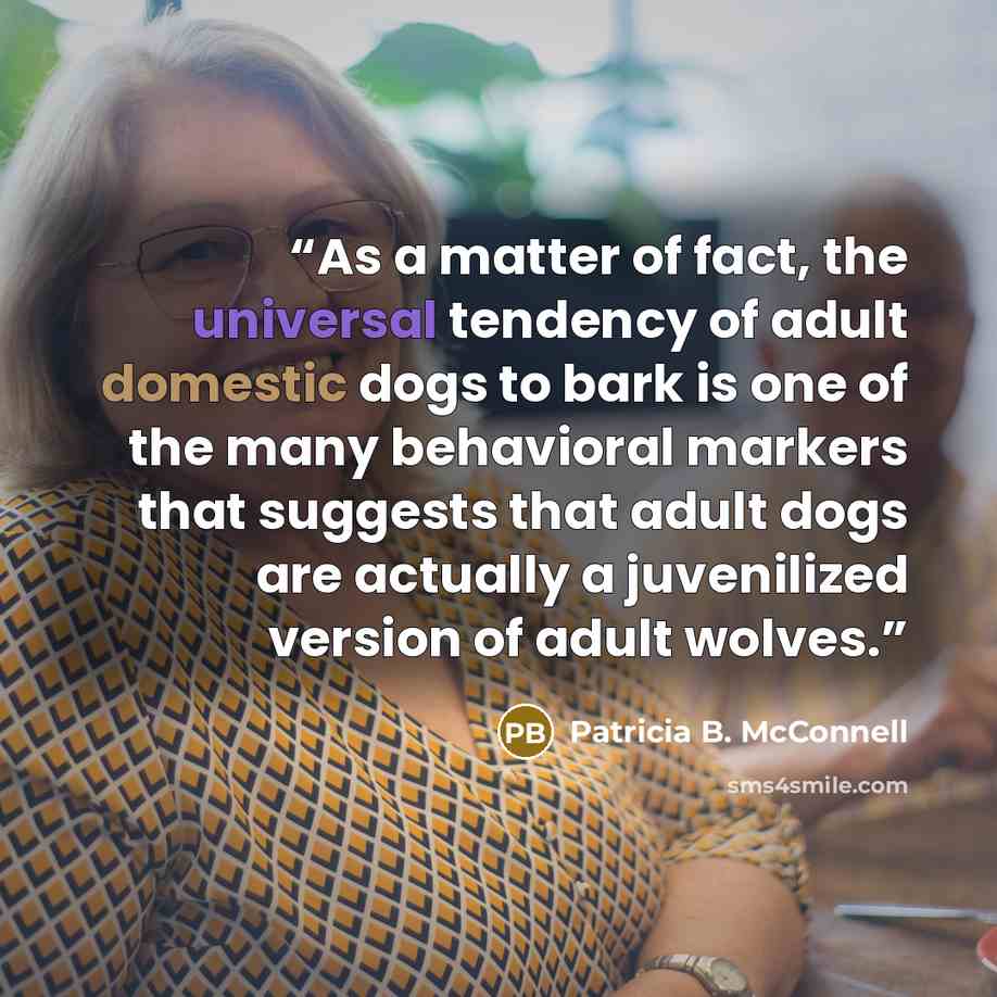 “As a matter of fact, the universal tendency of adult domestic dogs to bark is one of the many behavioral markers that suggests that adult dogs are actually a juvenilized version of adult wolves.” quote by Patricia B. McConnell