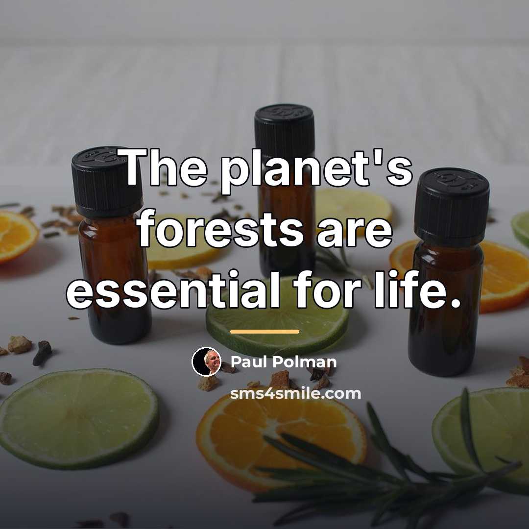 “The planet's forests are essential for life.…” quote by Paul Polman