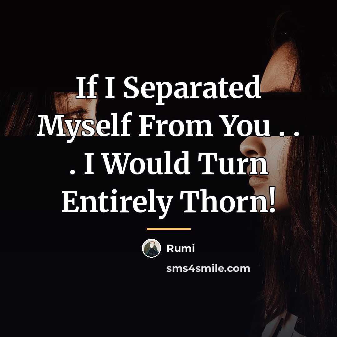 “If I Separated Myself From You . . . I…” quote by Rumi