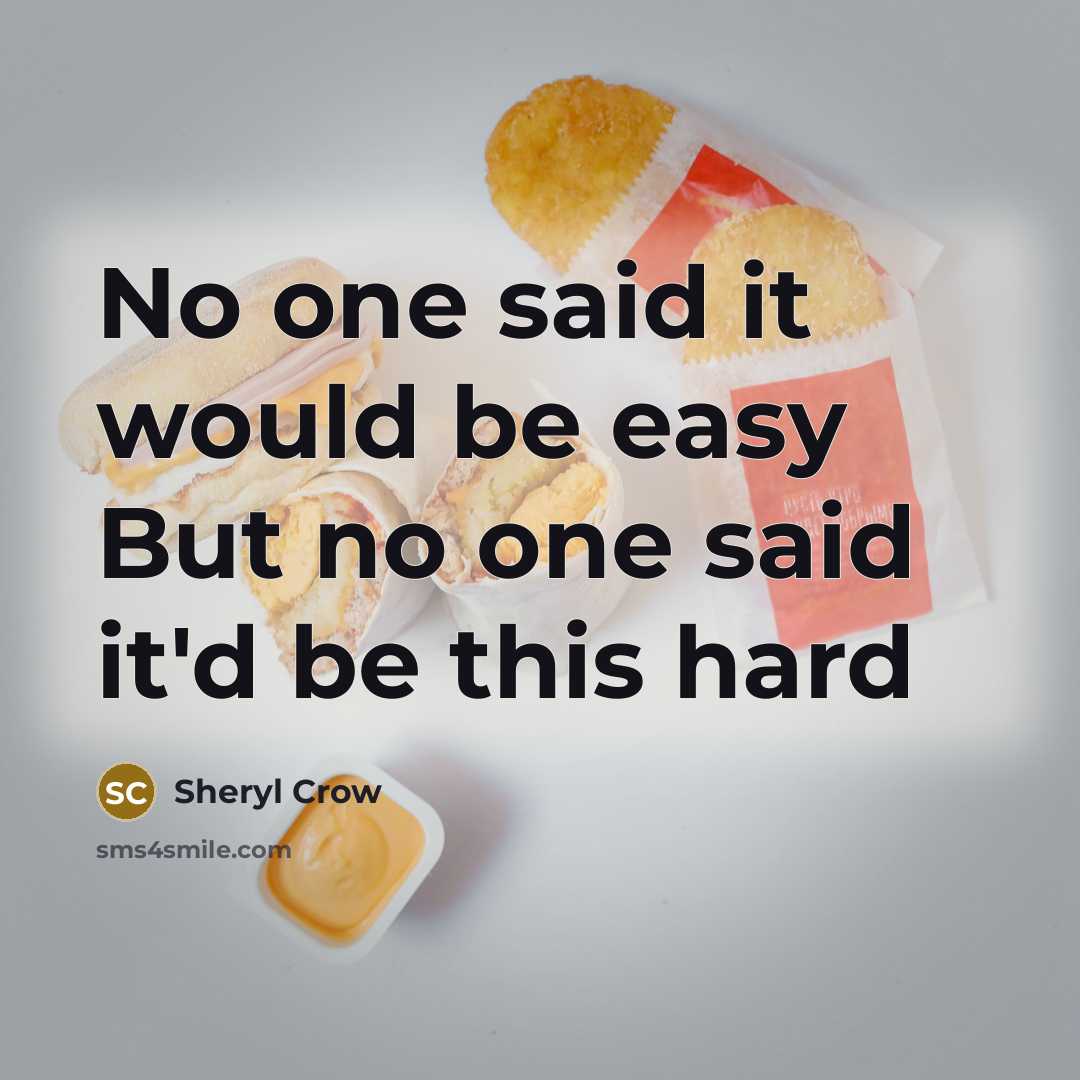“No one said it would be easy But no one…” quote by Sheryl Crow