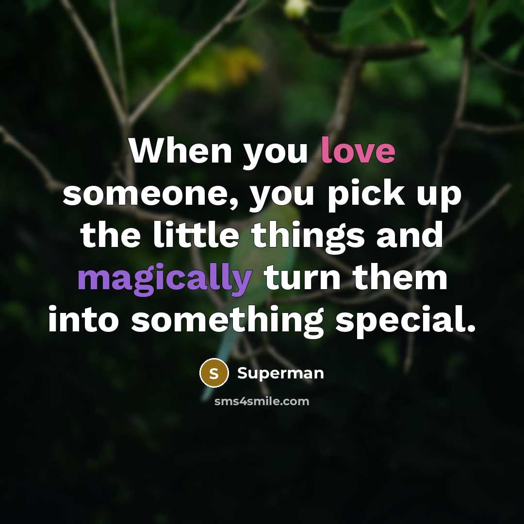 “When you love someone, you pick up the little things…” quote by Superman