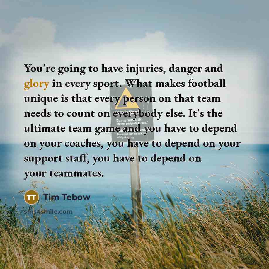 “You're going to have injuries, danger and glory in every…” quote by Tim Tebow