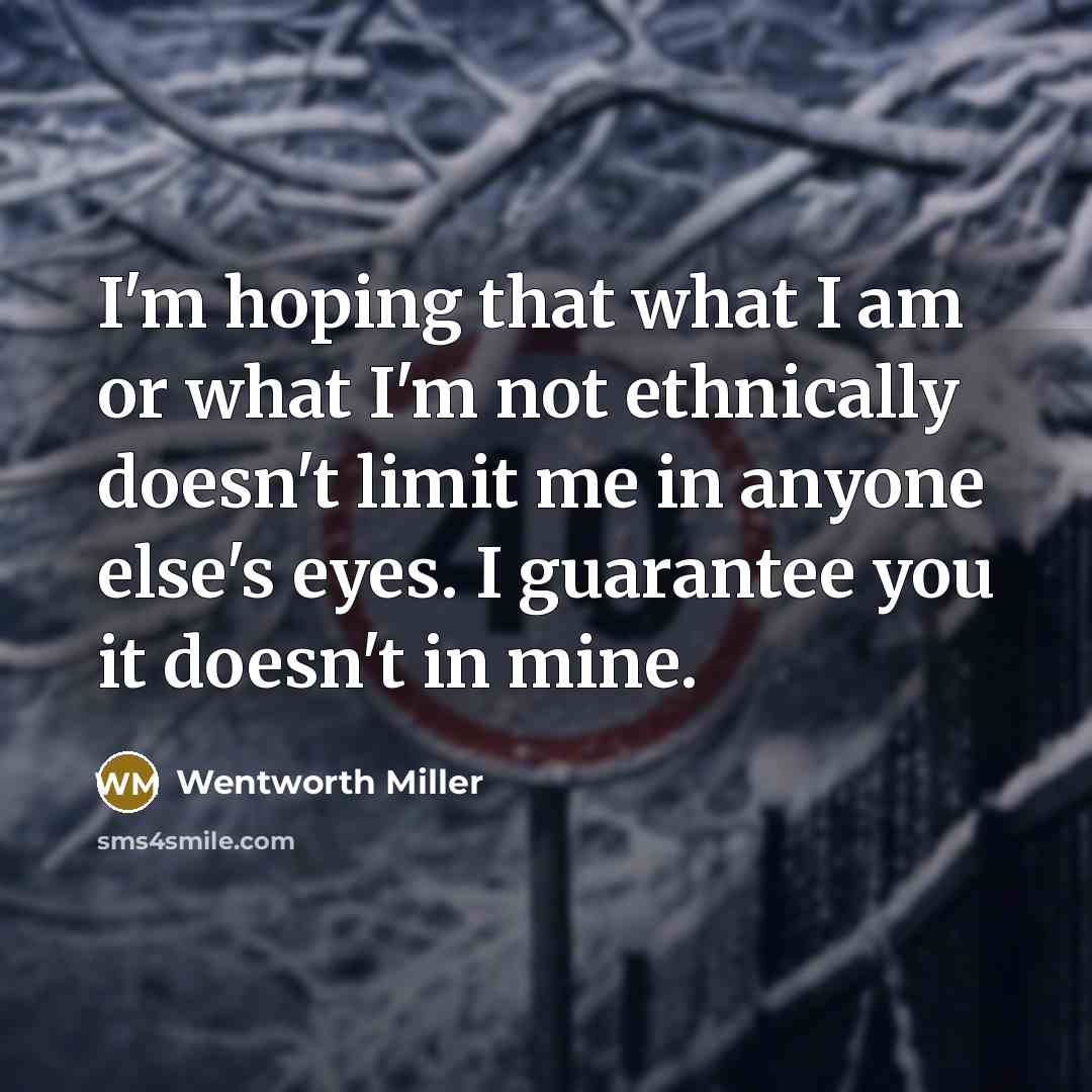“I'm hoping that what I am or what I'm not…” quote by Wentworth Miller