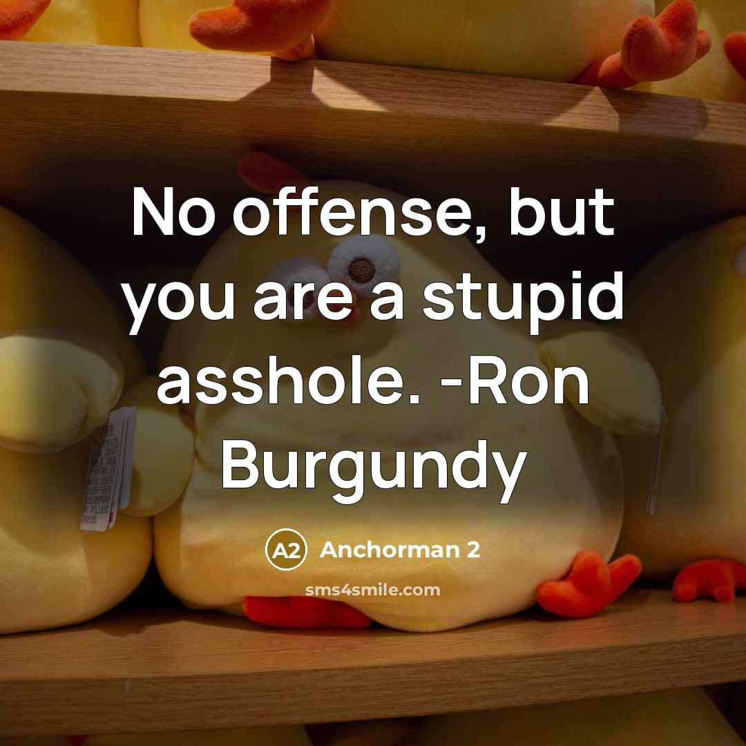 “No offense, but you are a stupid asshole. -Ron Burgundy” quote by Anchorman 2