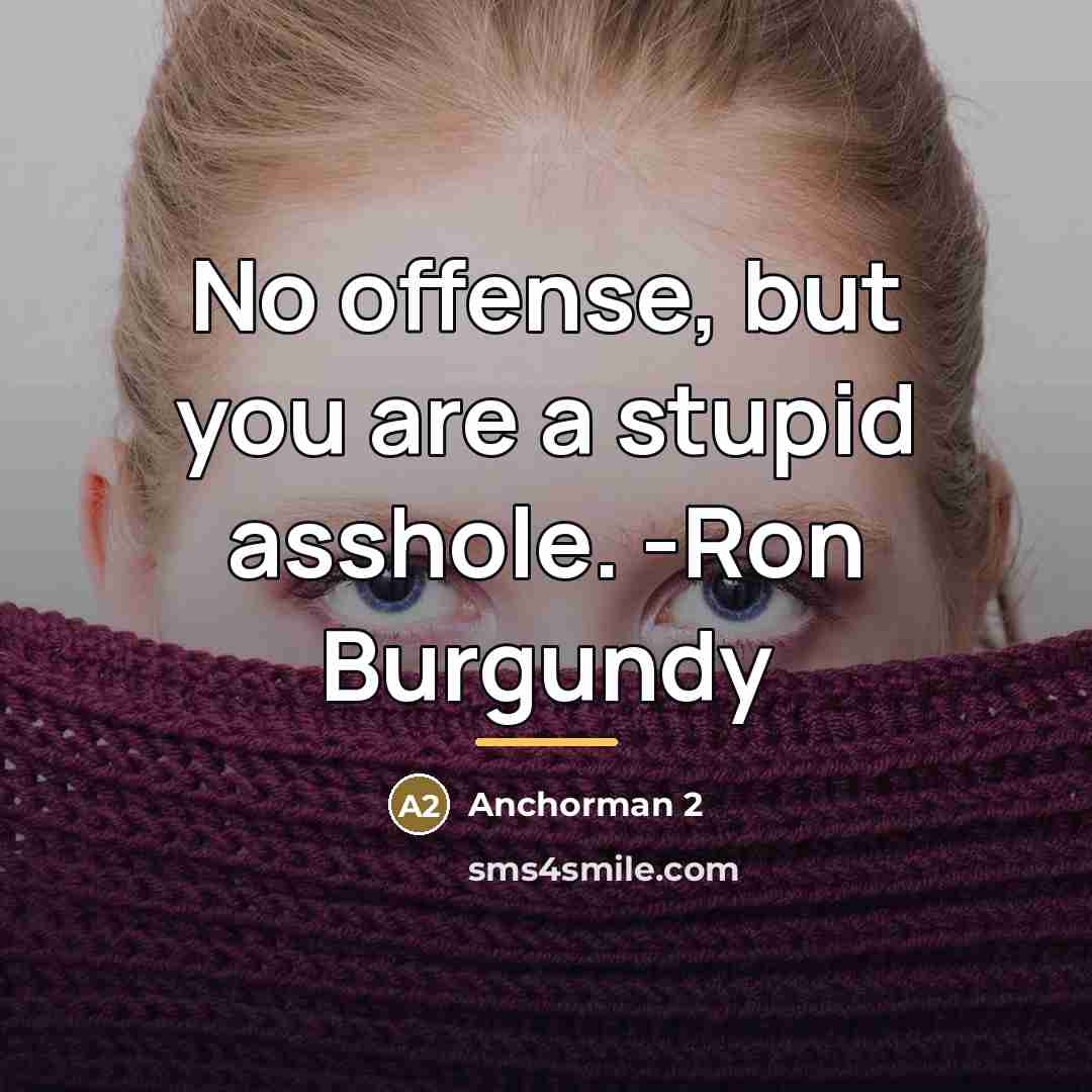 “No offense, but you are a stupid asshole. -Ron Burgundy…” quote by Anchorman 2