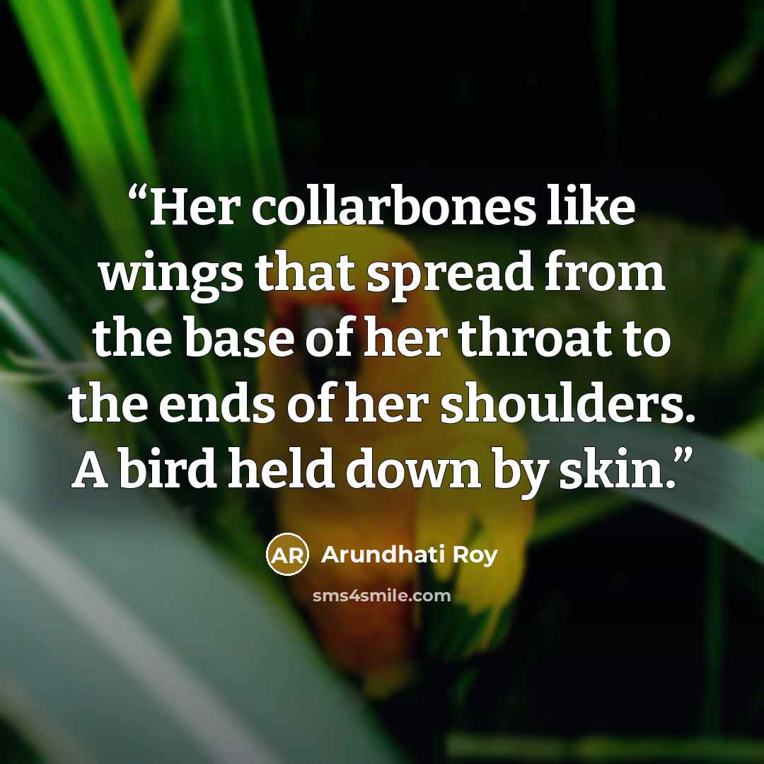 “Her collarbones like wings that spread from the base of her throat to the ends of her shoulders. A bird held down by skin.” quote by Arundhati Roy