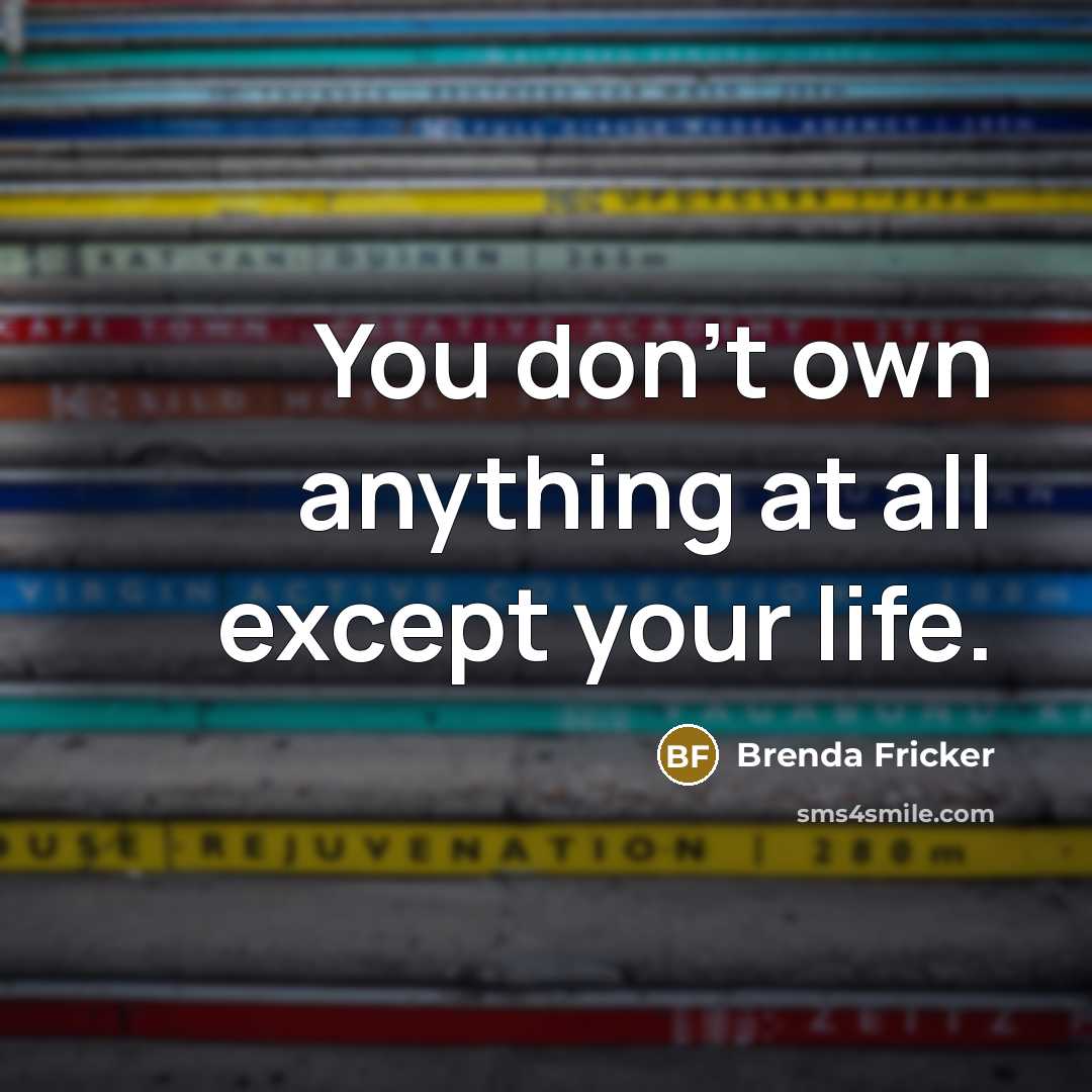 “You don't own anything at all except your life.…” quote by Brenda Fricker