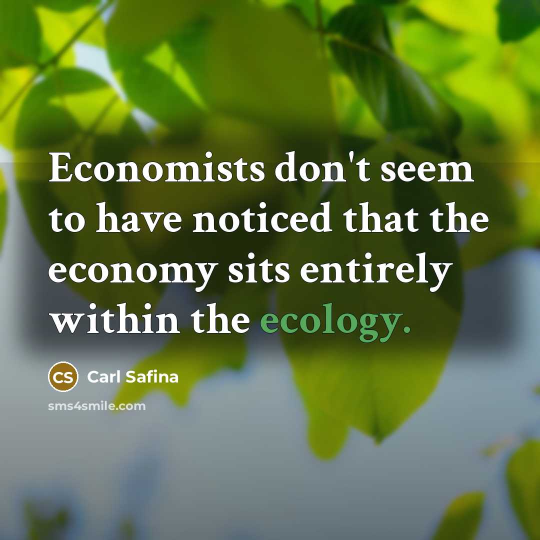 “Economists don't seem to have noticed that the economy sits…” quote by Carl Safina