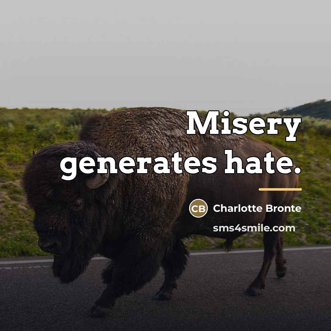 “Misery generates hate.…” quote by Charlotte Bronte
