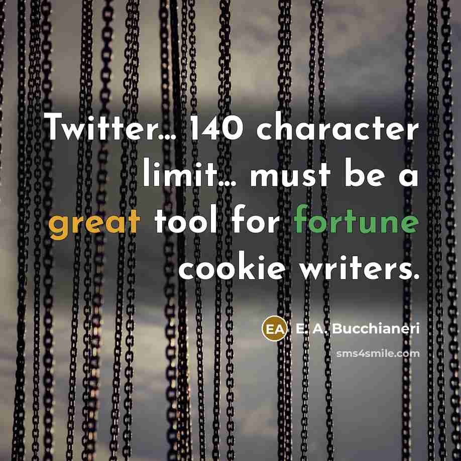 “Twitter... 140 character limit... must be a great tool for…” quote by E. A. Bucchianeri