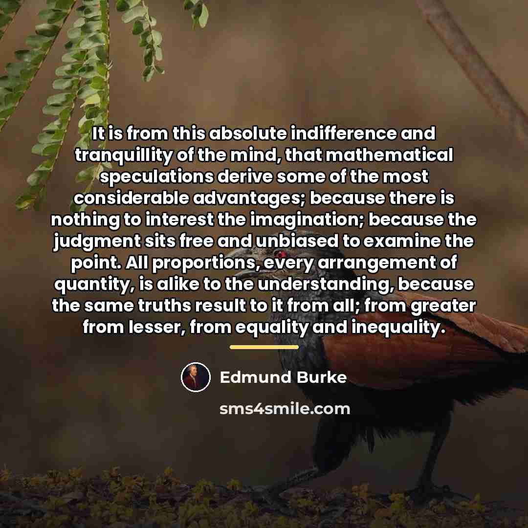 “It is from this absolute indifference and tranquillity of the…” quote by Edmund Burke