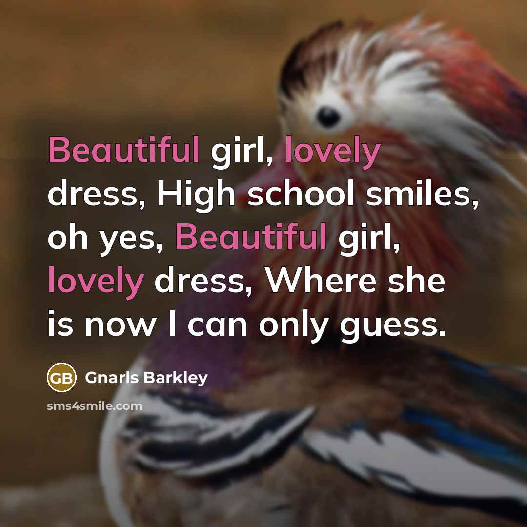 “Beautiful girl, lovely dress, High school smiles, oh yes, Beautiful girl, lovely dress, Where she is now I can only guess.” quote by Gnarls Barkley