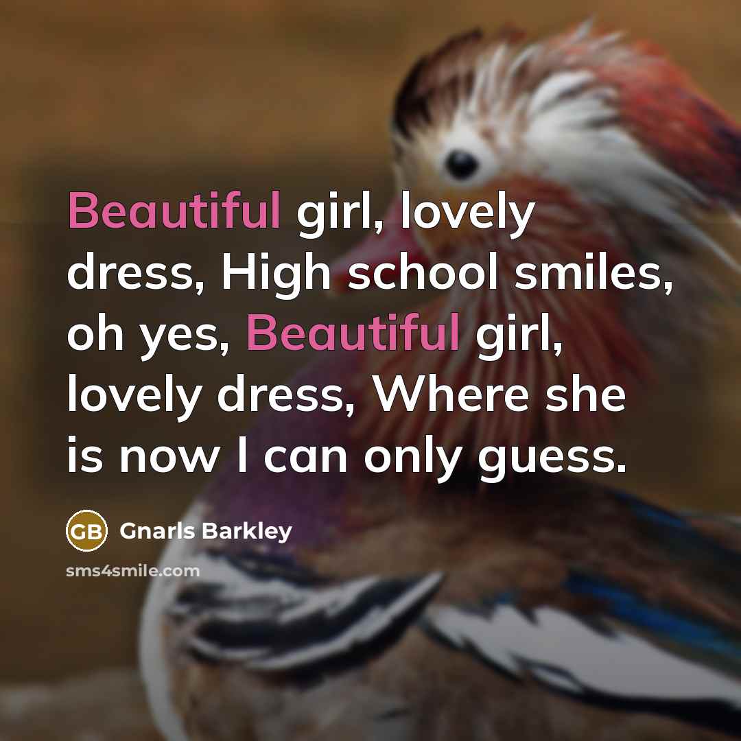 “Beautiful girl, lovely dress, High school smiles, oh yes, Beautiful…” quote by Gnarls Barkley