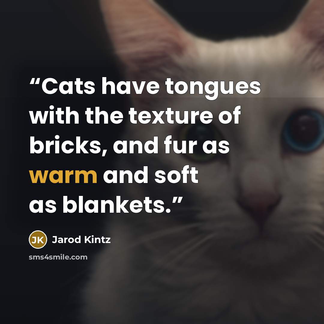 “Cats have tongues with the texture of bricks, and fur as warm and soft as blankets.” quote by Jarod Kintz