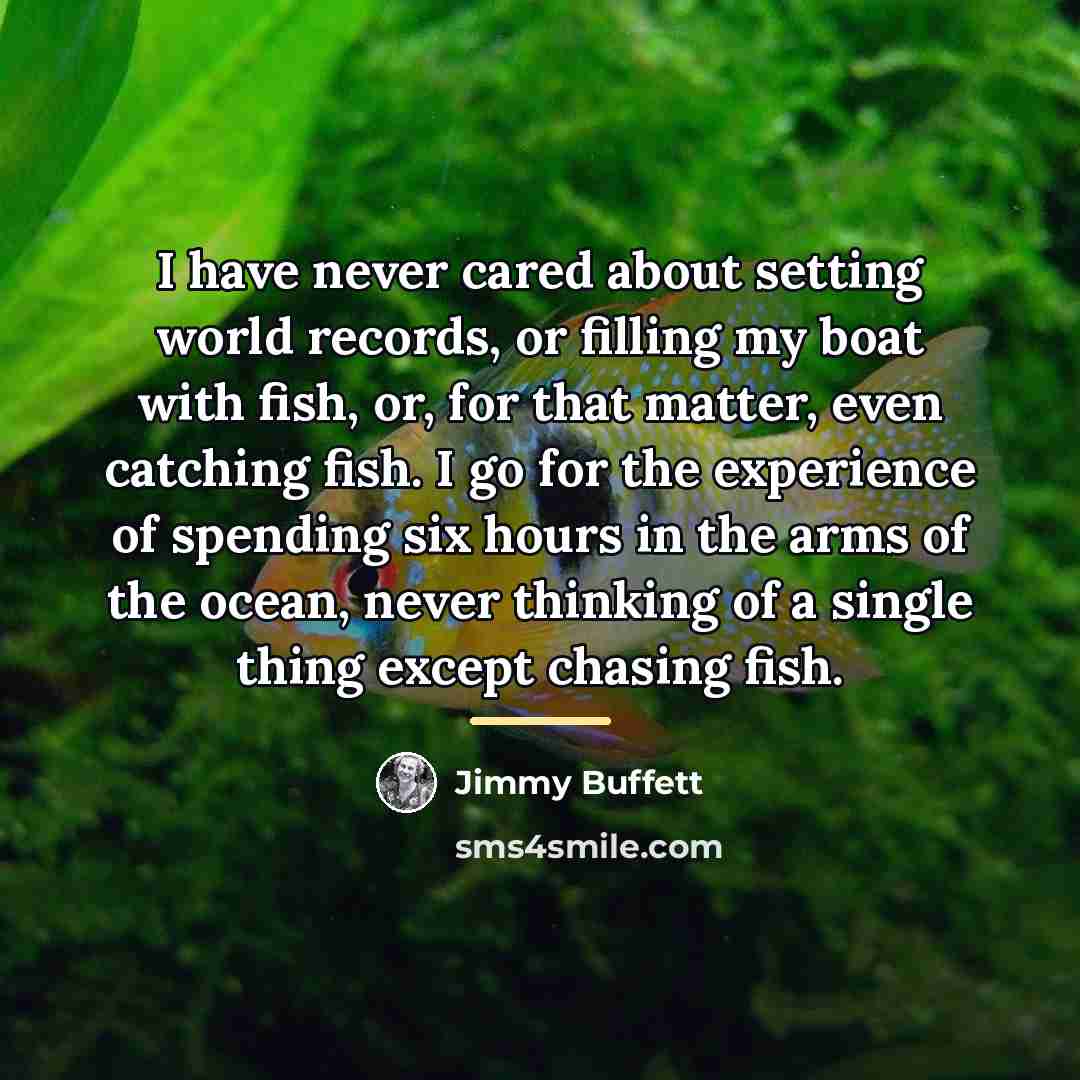“I have never cared about setting world records, or filling…” quote by Jimmy Buffett