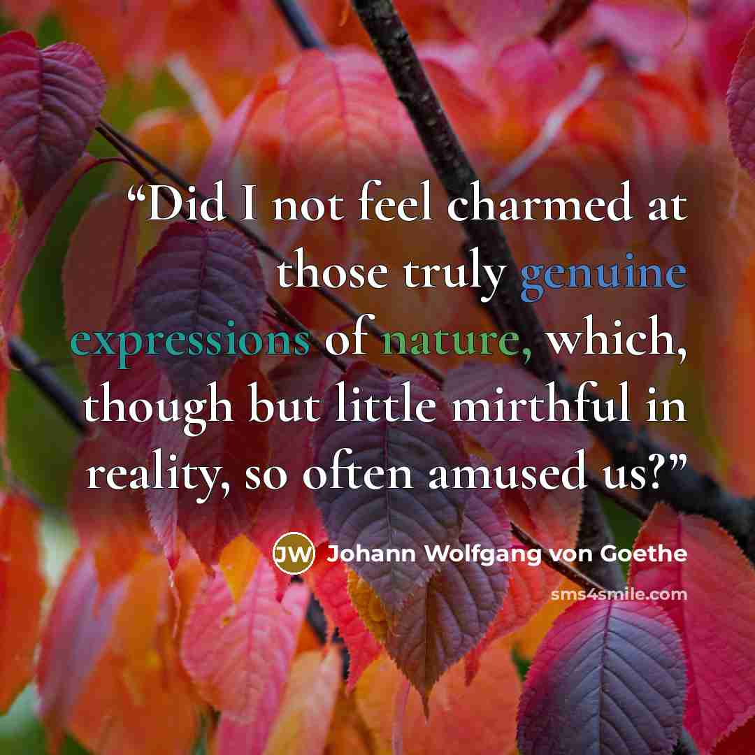 “Did I not feel charmed at those truly genuine expressions of nature, which, though but little mirthful in reality, so often amused us?” quote by Johann Wolfgang von Goethe