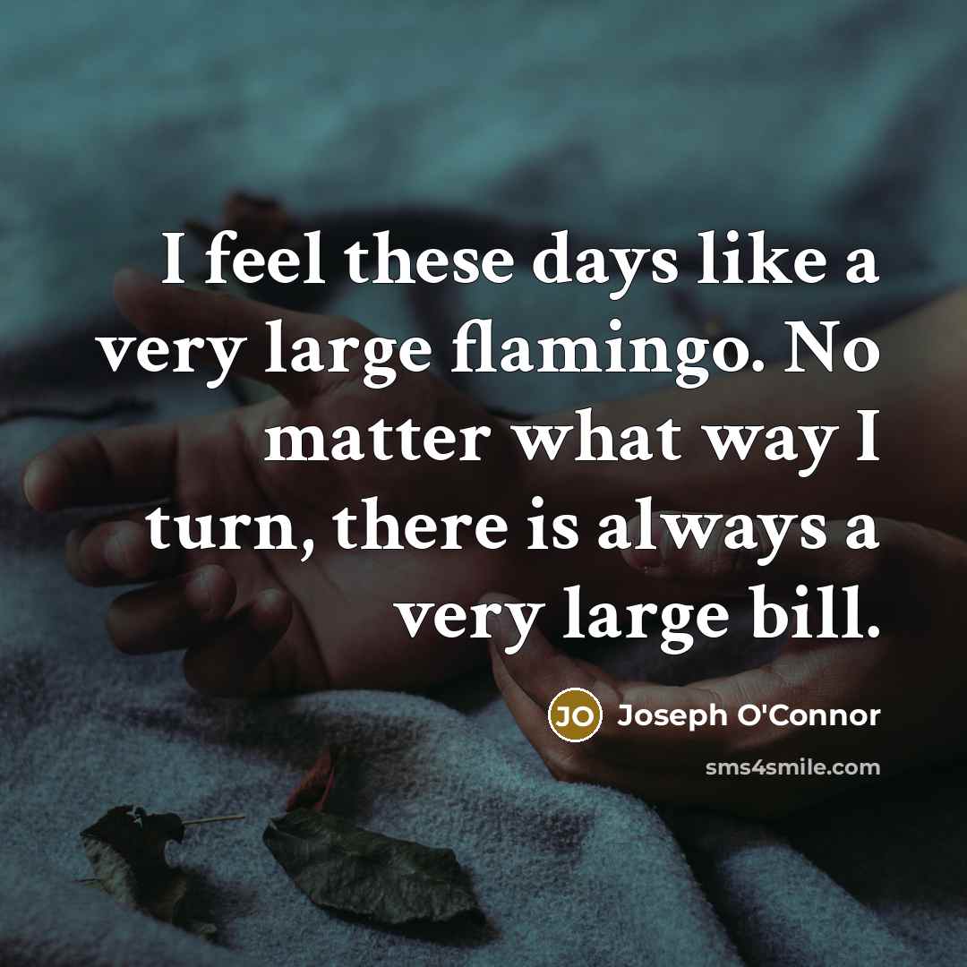 “I feel these days like a very large flamingo. No…” quote by Joseph O'Connor