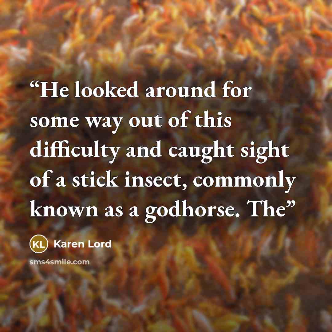 “He looked around for some way out of this difficulty and caught sight of a stick insect, commonly known as a godhorse. The” quote by Karen Lord