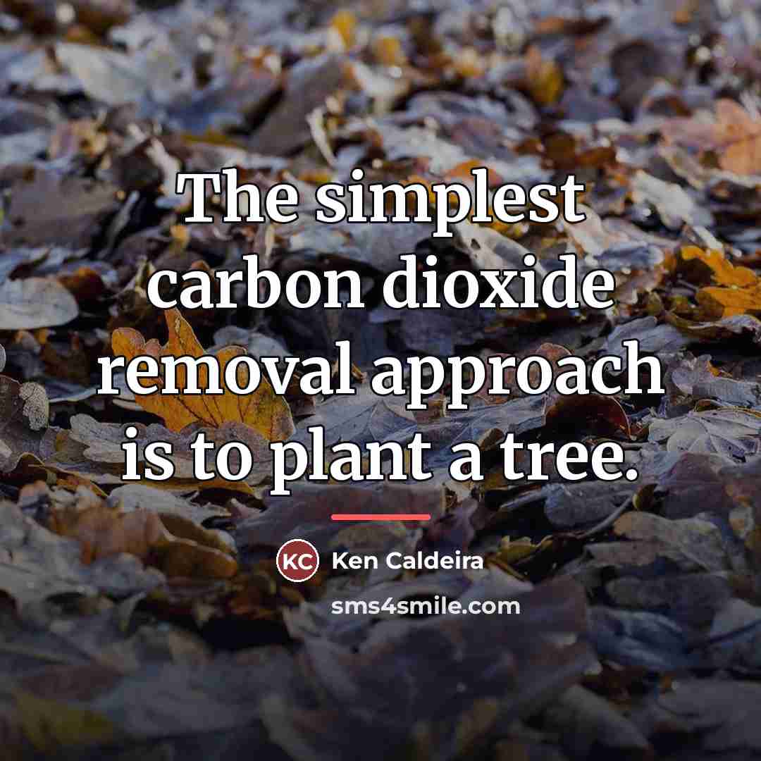 “The simplest carbon dioxide removal approach is to plant a…” quote by Ken Caldeira