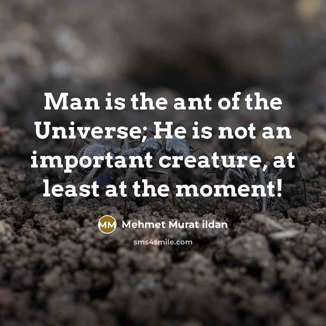 “Man is the ant of the Universe; He is not…” quote by Mehmet Murat Ildan