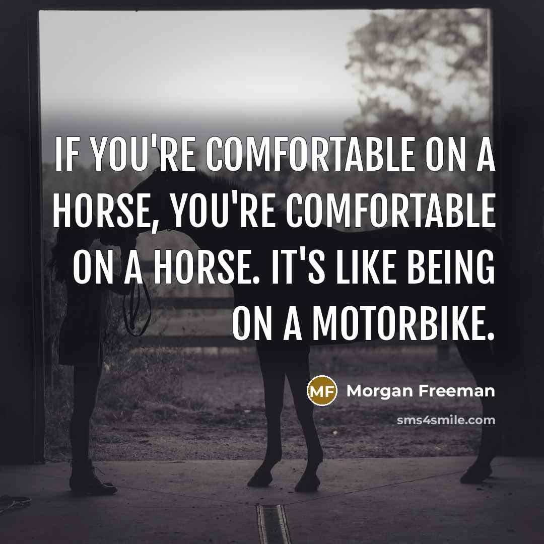 “If you're comfortable on a horse, you're comfortable on a…” quote by Morgan Freeman