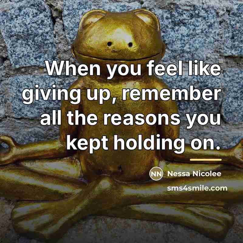 “When you feel like giving up, remember all the reasons…” quote by Nessa Nicolee