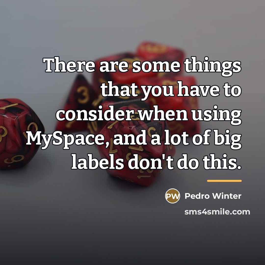 “There are some things that you have to consider when…” quote by Pedro Winter