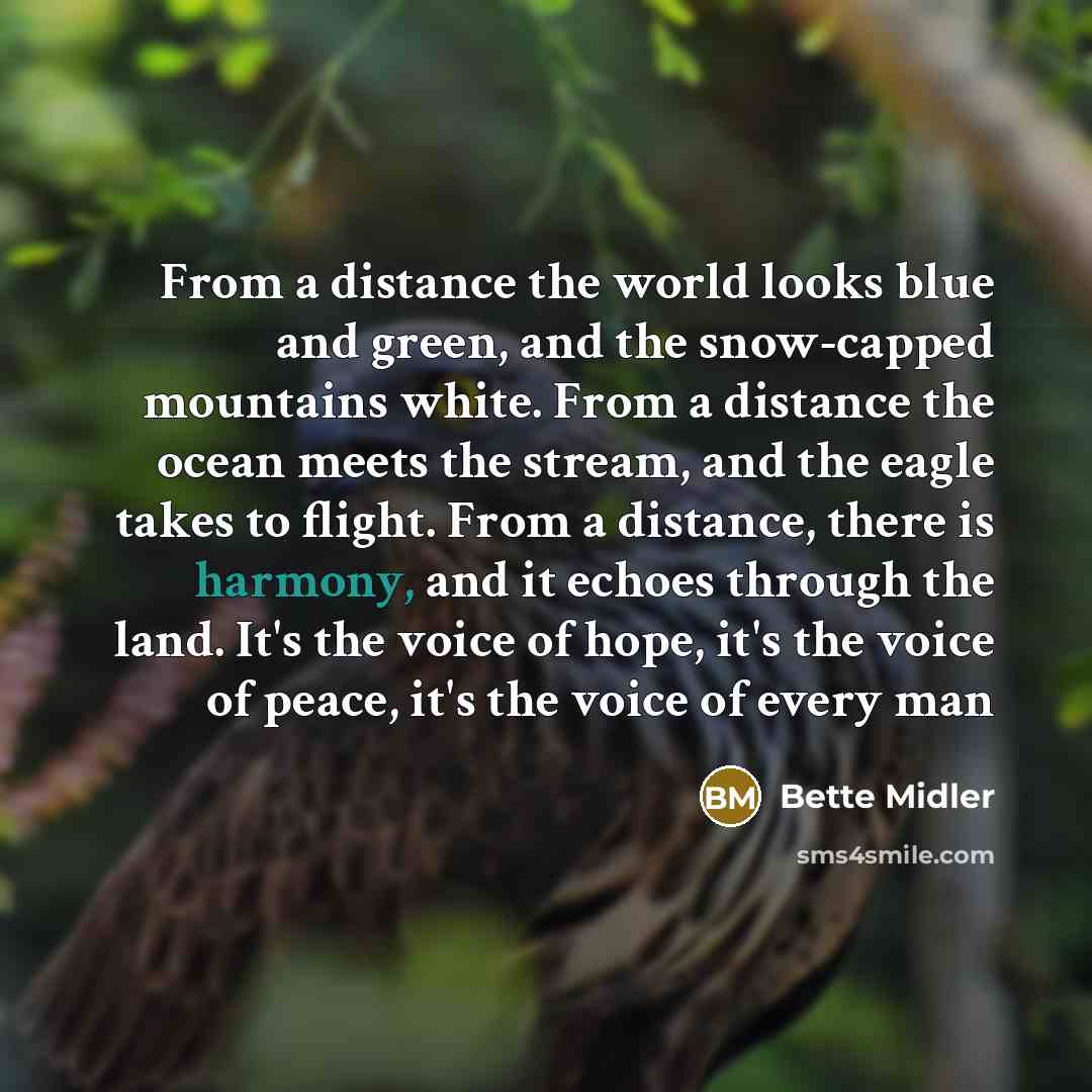 “From a distance the world looks blue and green, and…” quote by Bette Midler