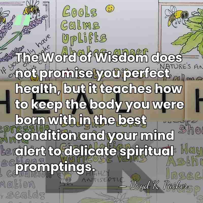 The Word of Wisdom does not promise you perfect health, but it&hellip; - Boyd K. Packer