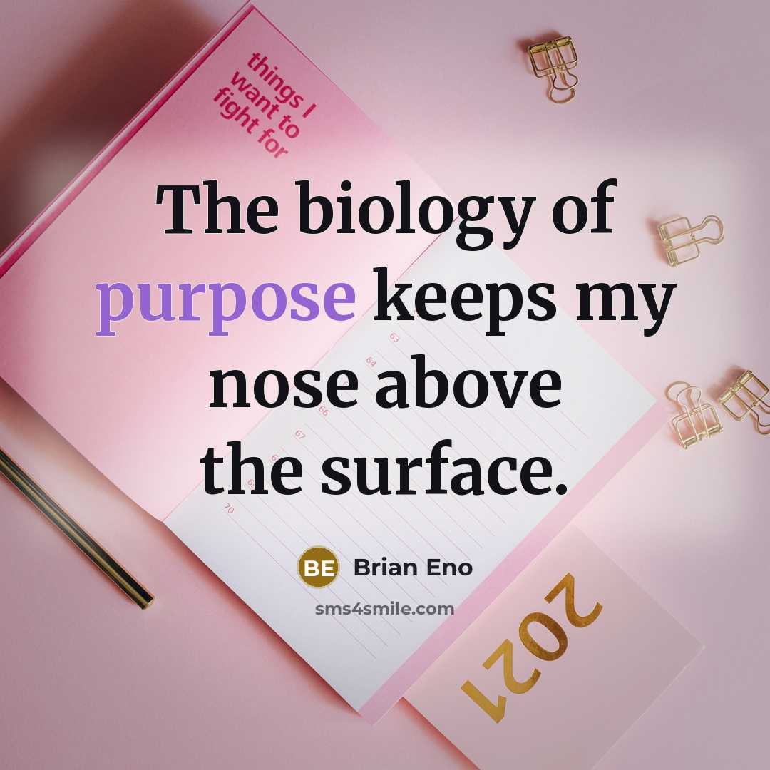 “The biology of purpose keeps my nose above the surface.…” quote by Brian Eno