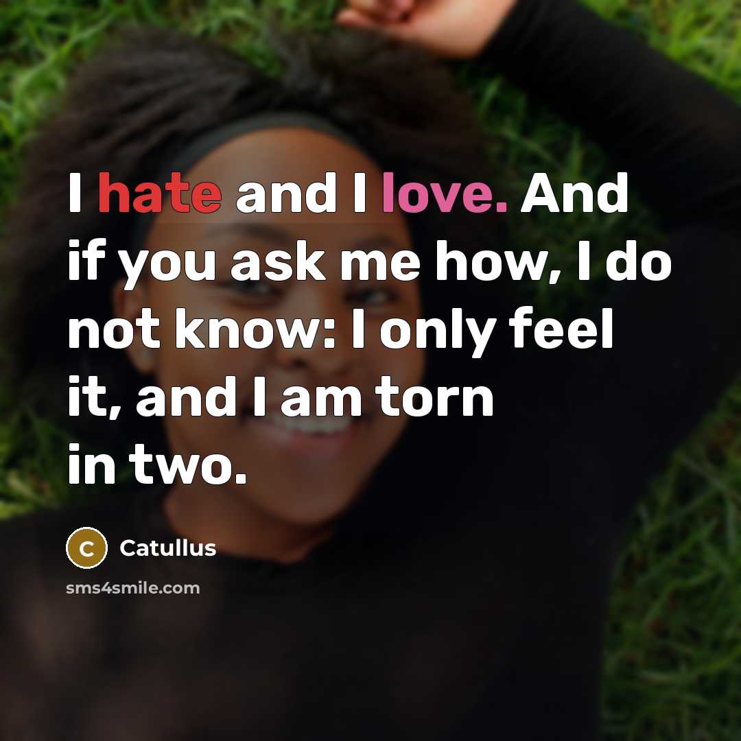 “I hate and I love. And if you ask me…” quote by Catullus