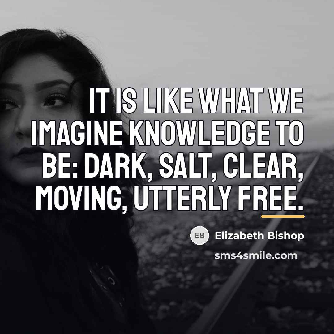 “It is like what we imagine knowledge to be: dark,…” quote by Elizabeth Bishop