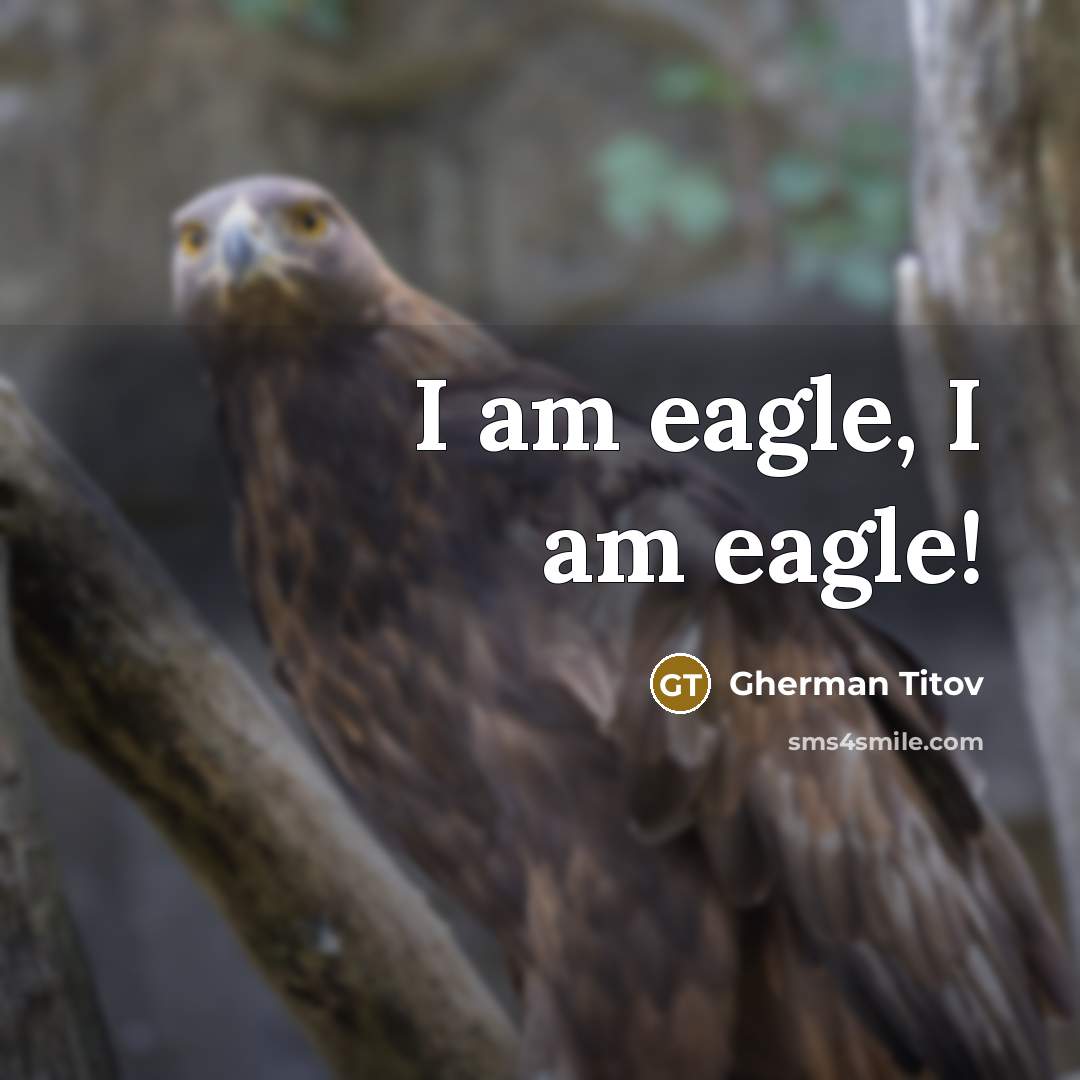 “I am eagle, I am eagle!” quote by Gherman Titov