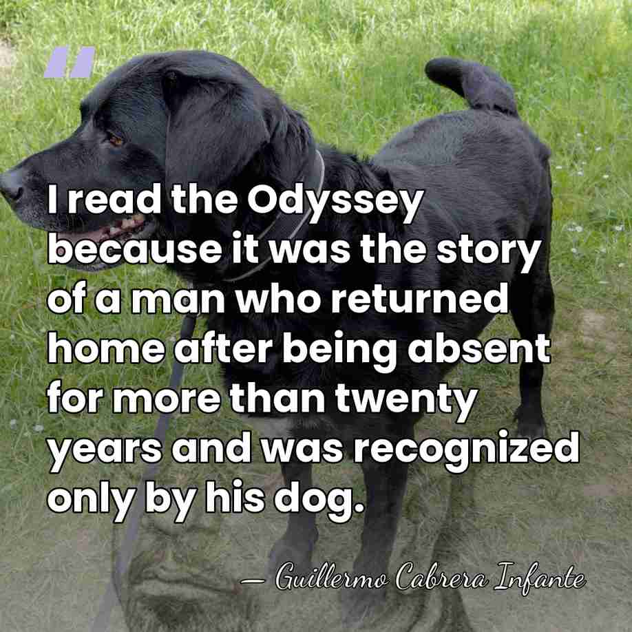I read the Odyssey because it was the story of a man&hellip; - Guillermo Cabrera Infante