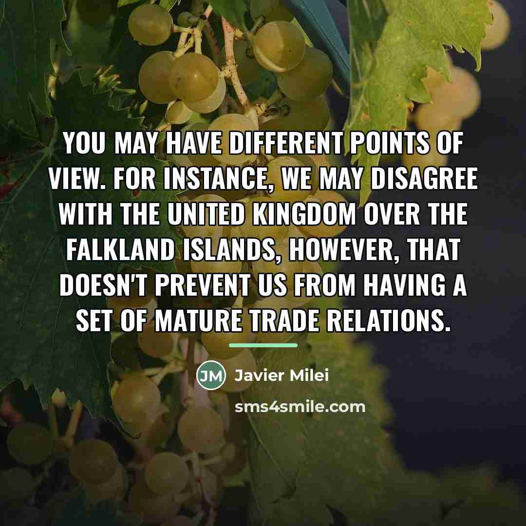 “You may have different points of view. For instance, we…” quote by Javier Milei