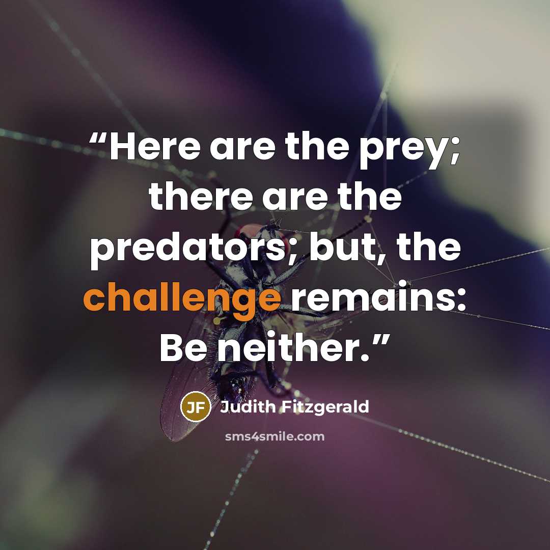 “Here are the prey; there are the predators; but, the challenge remains: Be neither.” quote by Judith Fitzgerald