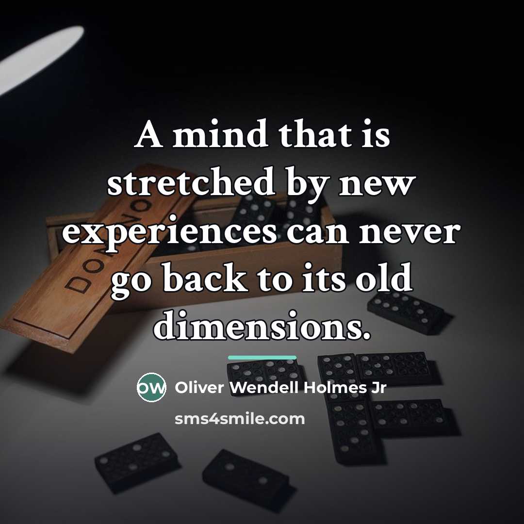 “A mind that is stretched by new experiences can never…” quote by Oliver Wendell Holmes Jr