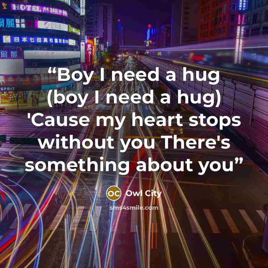 “Boy I need a hug (boy I need a hug) 'Cause my heart stops without you There's something about you” quote by Owl City