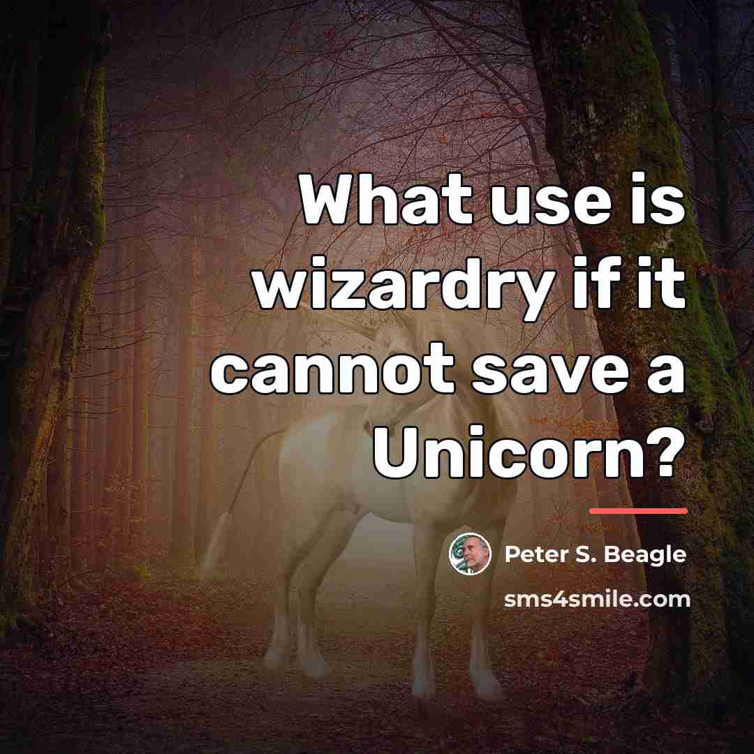“What use is wizardry if it cannot save a Unicorn?…” quote by Peter S. Beagle