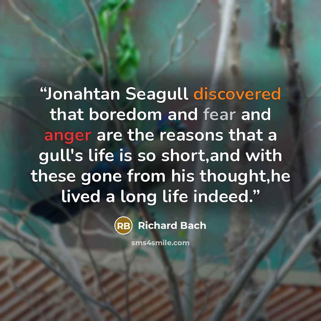 “Jonahtan Seagull discovered that boredom and fear and anger are the reasons that a gull's life is so short,and with these gone from his thought,he lived a long life indeed.” quote by Richard Bach