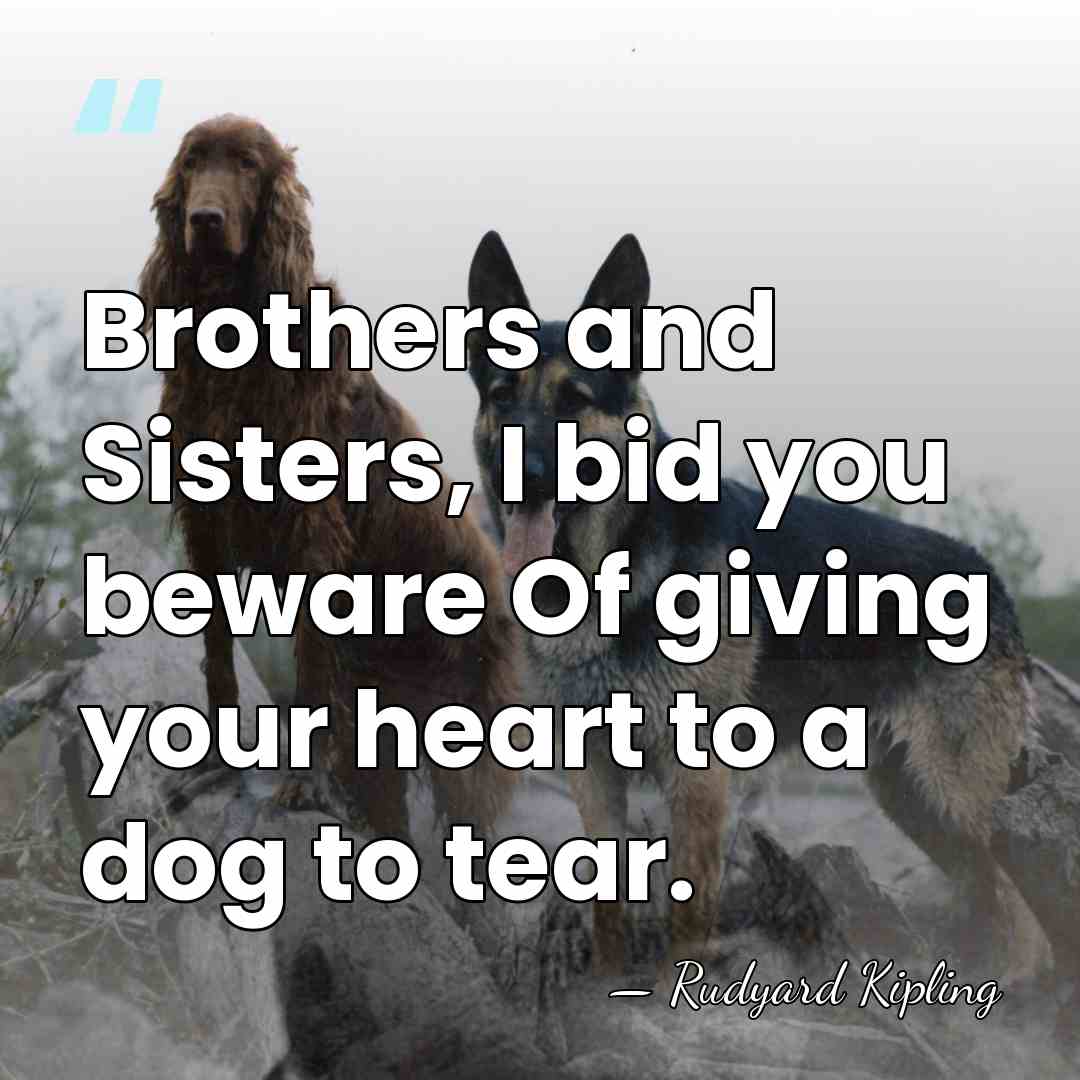 Brothers and Sisters, I bid you beware Of giving your heart to&hellip; - Rudyard Kipling