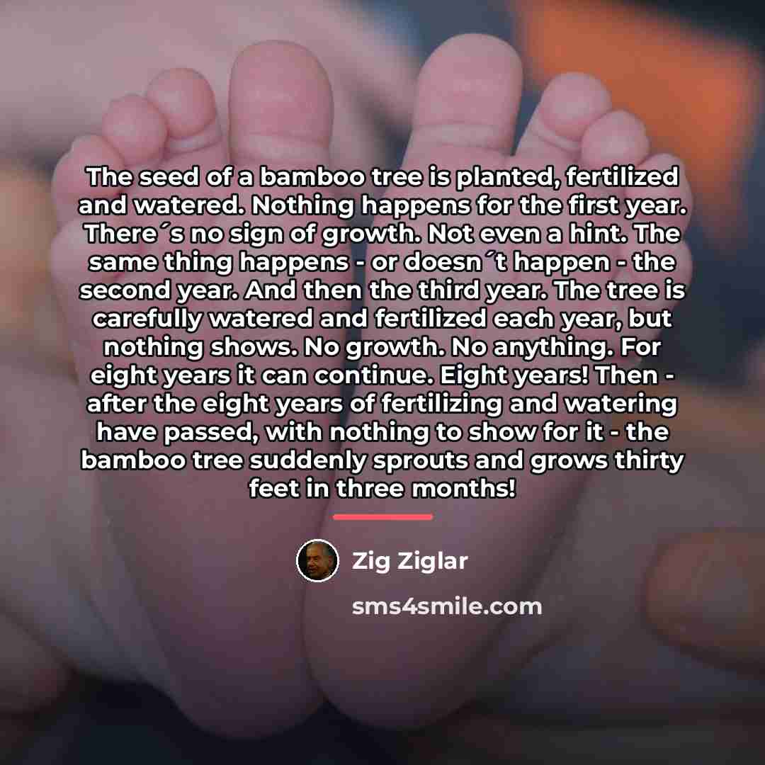 “The seed of a bamboo tree is planted, fertilized and…” quote by Zig Ziglar