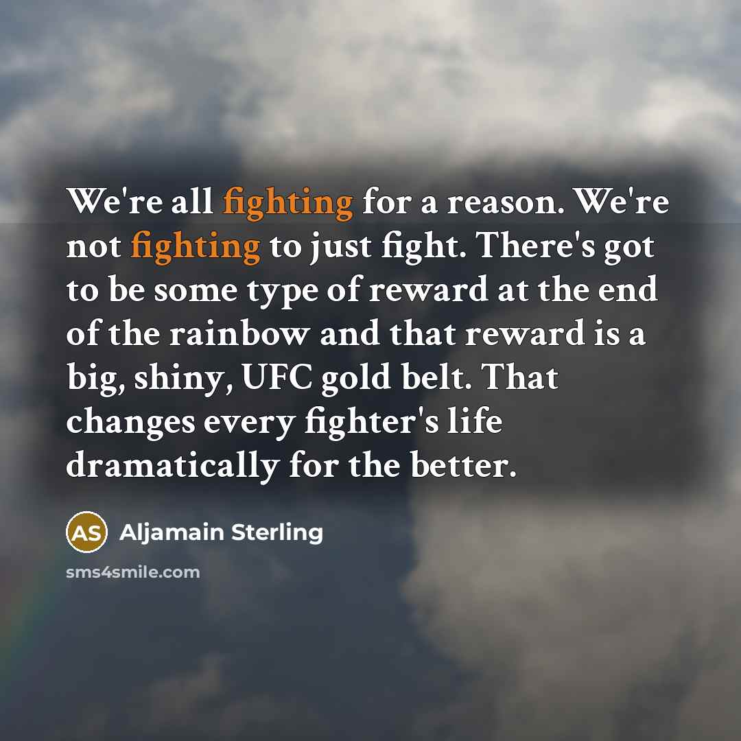 “We're all fighting for a reason. We're not fighting to…” quote by Aljamain Sterling