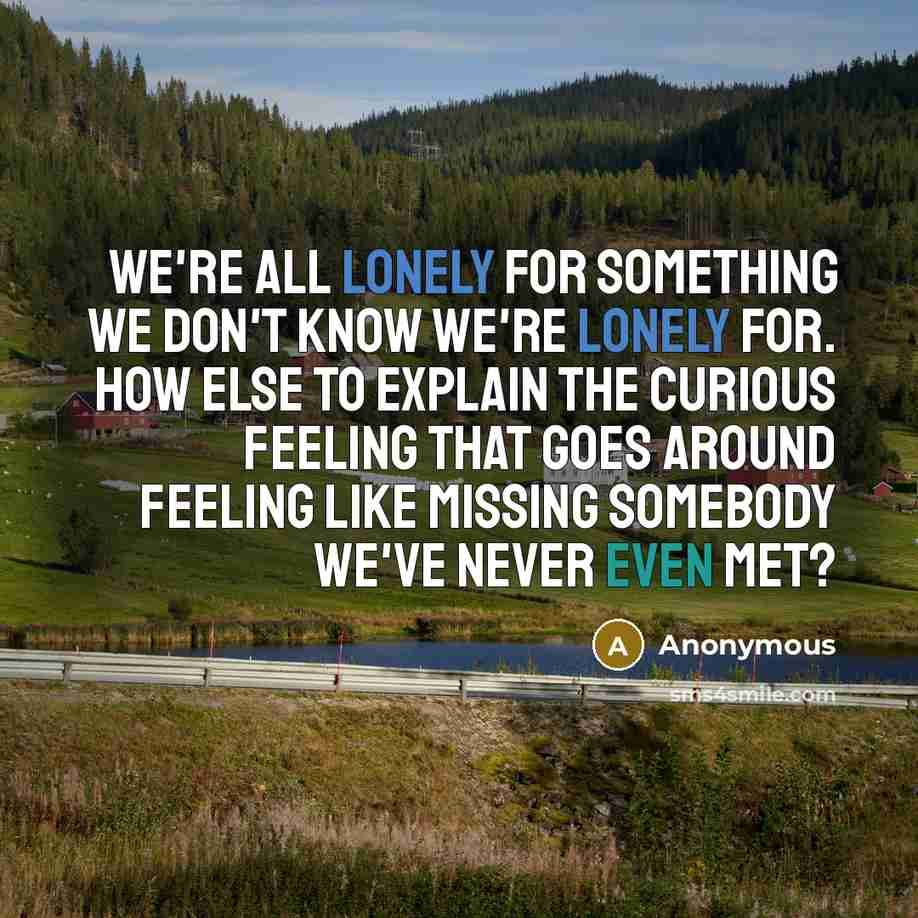 “We're all lonely for something we don't know we're lonely for. How else to explain the curious feeling that goes around feeling like missing somebody we've never even met?” quote by Anonymous