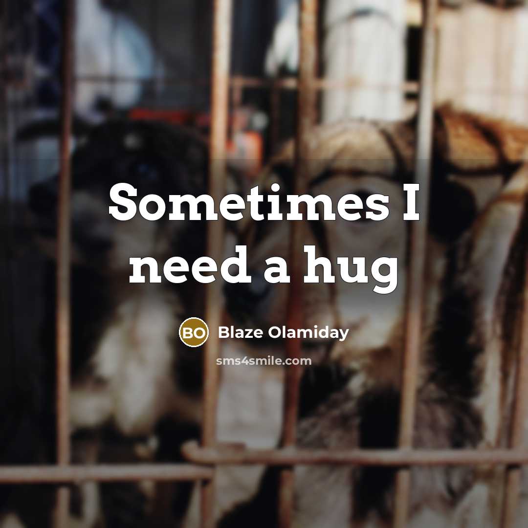 “Sometimes I need a hug” quote by Blaze Olamiday