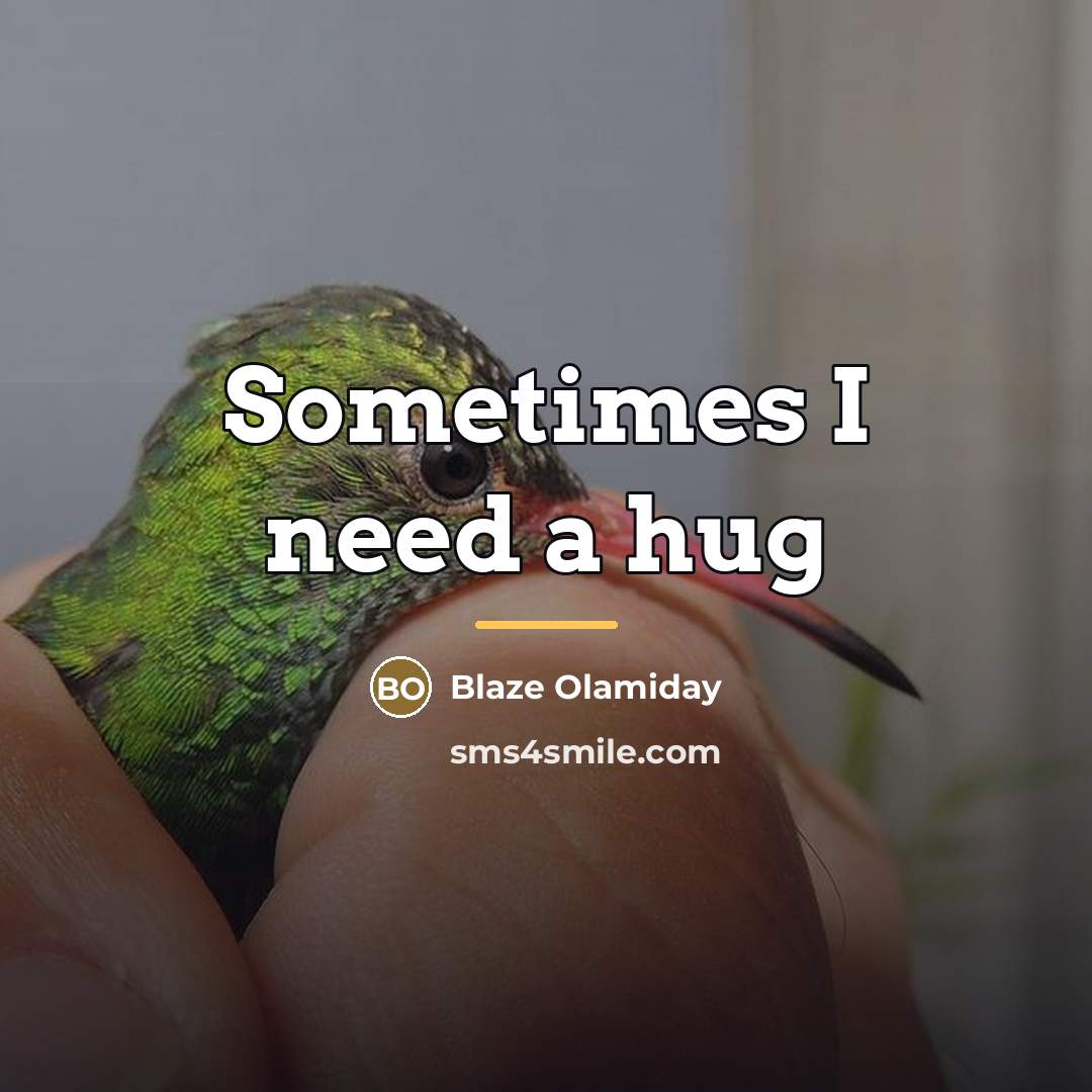 “Sometimes I need a hug…” quote by Blaze Olamiday