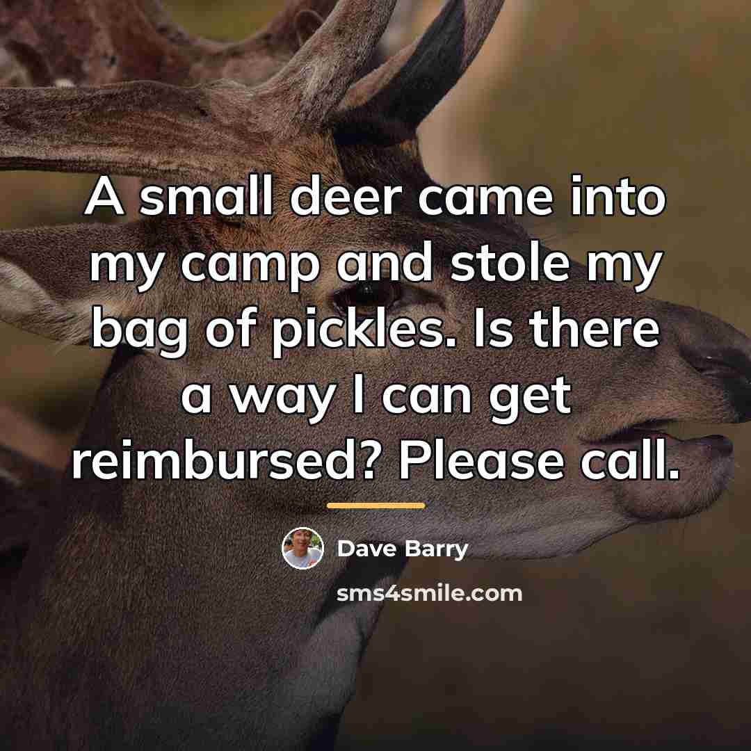 “A small deer came into my camp and stole my…” quote by Dave Barry