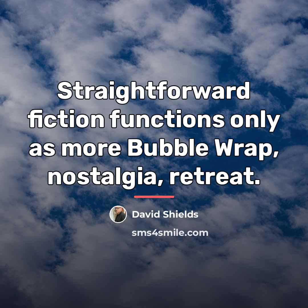 “Straightforward fiction functions only as more Bubble Wrap, nostalgia, retreat.…” quote by David Shields